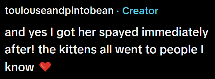 toulouseandpintobean · Creator and yes I got her spayed immediately after! the kittens all went to people I know