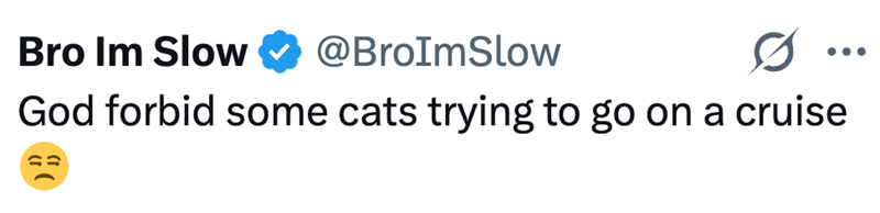 Bro Im Slow @BroImSlow ... God forbid some cats trying to go on a cruise