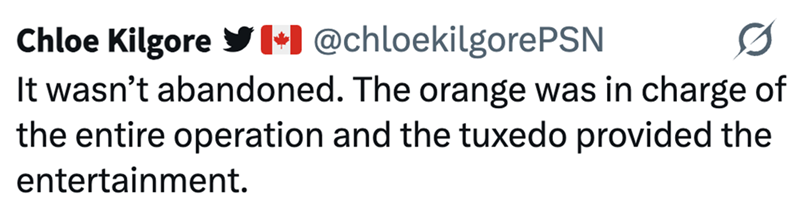Chloe Kilgore @chloekilgorePSN It wasn't abandoned. The orange was in charge of the entire operation and the tuxedo provided the entertainment.