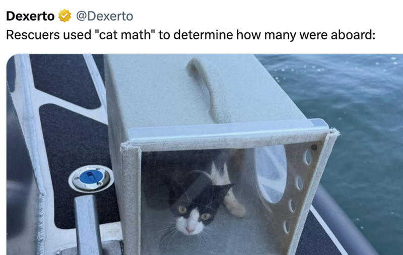 Dexerto @Dexerto Rescuers used "cat math" to determine how many were aboard: