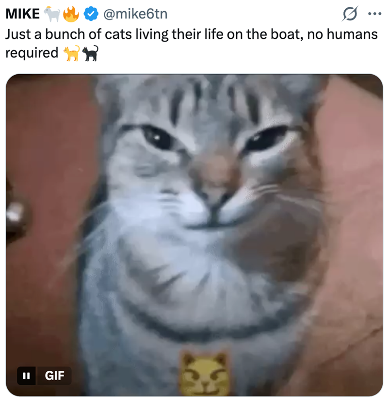 MIKE @mike6tn 0 ... Just a bunch of cats living their life on the boat, no humans required ✶✶ II GIF