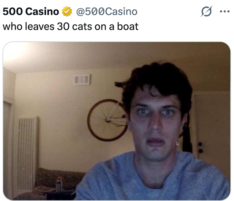 500 Casino @500Casino who leaves 30 cats on a boat ...