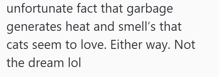 unfortunate fact that garbage generates heat and smell's that cats seem to love. Either way. Not the dream lol