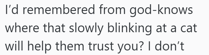 I'd remembered from god-knows where that slowly blinking at a cat will help them trust you? I don't