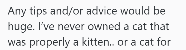 Any tips and/or advice would be huge. I've never owned a cat that was properly a kitten.. or a cat for