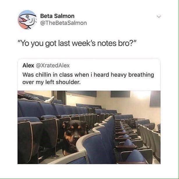 Beta Salmon @TheBetaSalmon "Yo you got last week's notes bro?" Alex @XratedAlex Was chillin in class when i heard heavy breathing over my left shoulder.
