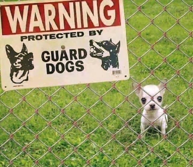 WARNING PROTECTED BY GUARD DOGS