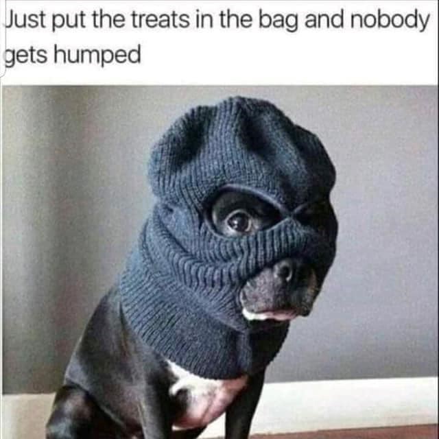Just put the treats in the bag and nobody gets humped