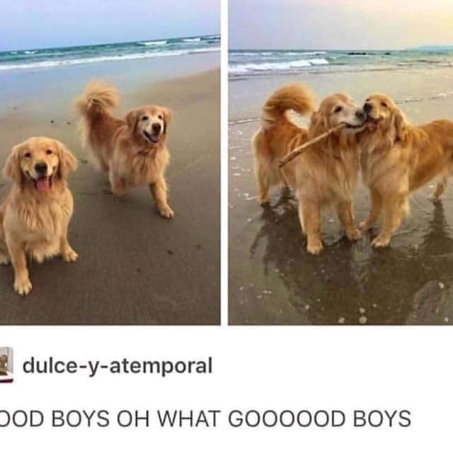 dulce-y-atemporal OOD BOYS OH WHAT GOOOOOD BOYS