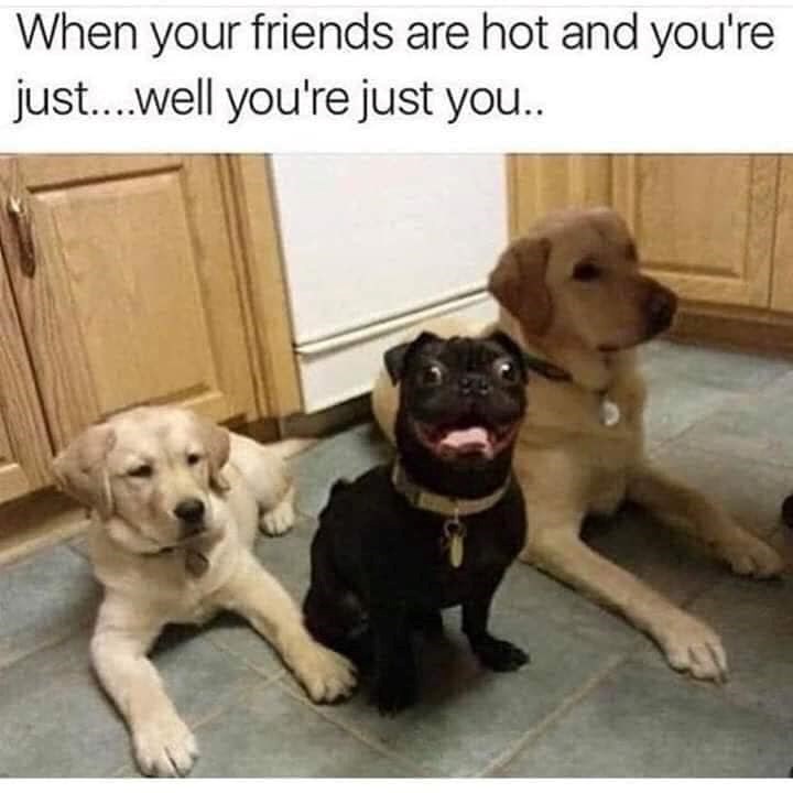 When your friends are hot and you're just....well you're just you..