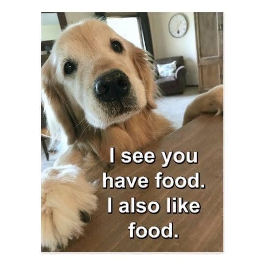 I see you have food. I also like food.