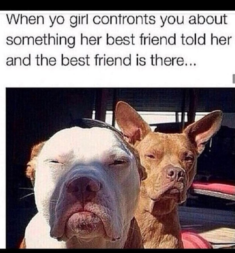 When yo girl confronts you about something her best friend told her and the best friend is there...