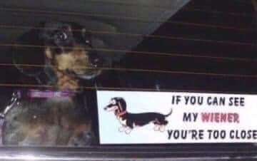 IF YOU CAN SEE MY WIENER YOU'RE TOO CLOSE