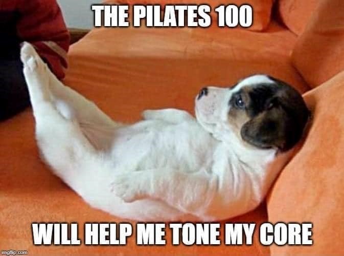 THE PILATES 100 imgflip.com WILL HELP ME TONE MY CORE