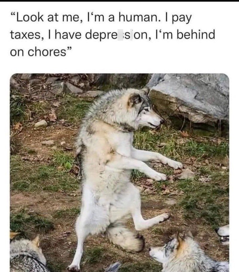 "Look at me, I'm a human. I pay taxes, I have depre is on, I'm behind on chores"