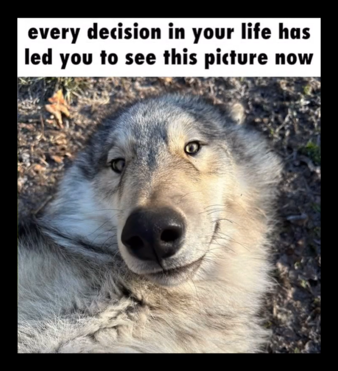 every decision in your life has led you to see this picture now