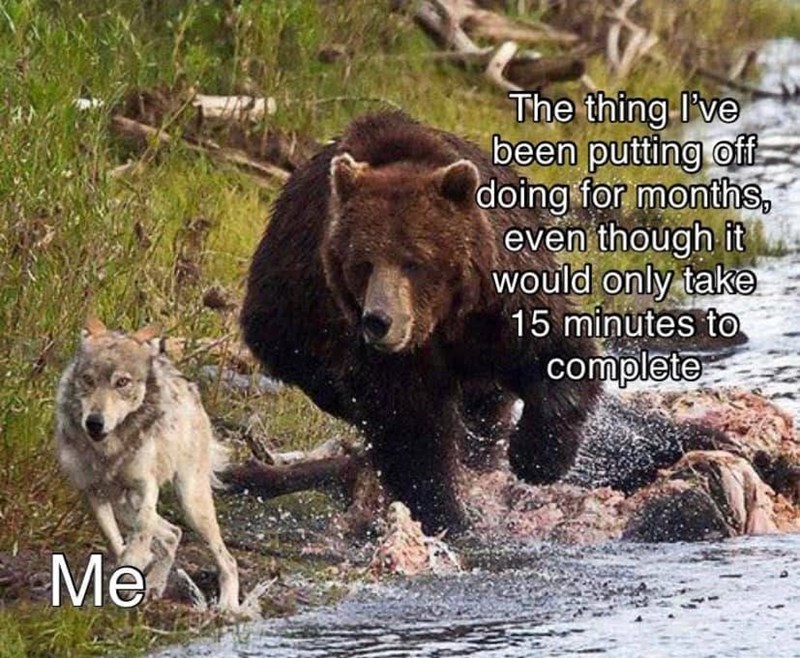 Me The thing I've been putting off doing for months, even though it would only take 15 minutes to complete