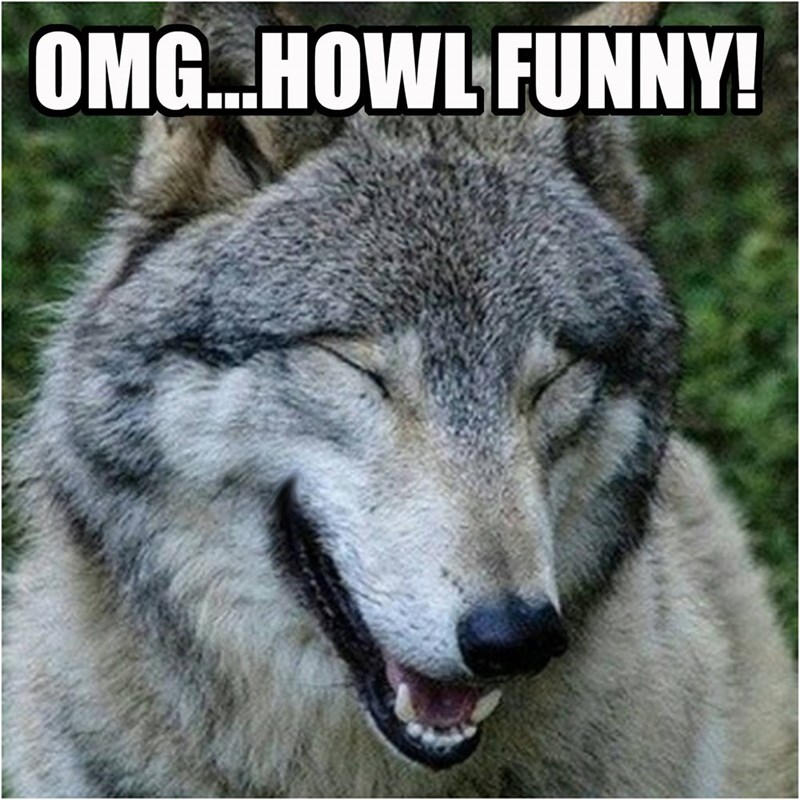 OMG...HOWL FUNNY!
