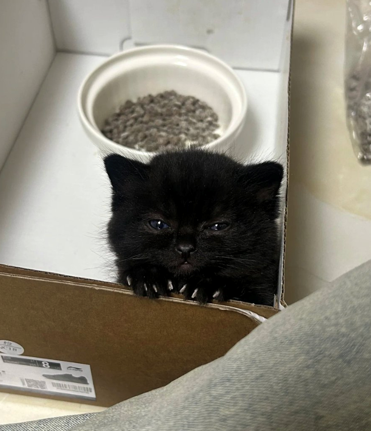 CTH 8