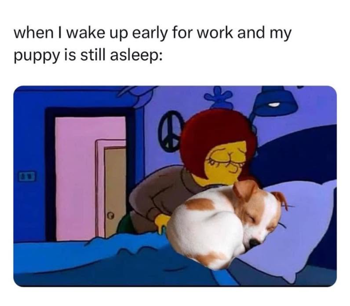 when I wake up early for work and my puppy is still asleep: 8