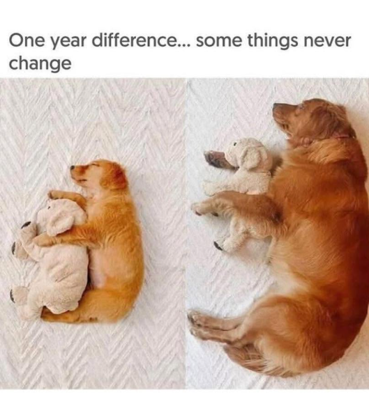 One year difference... some things never change