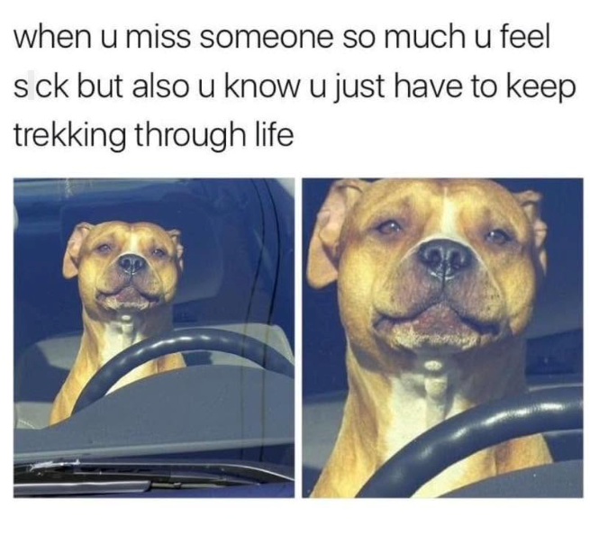 when u miss someone so much u feel sck but also u know u just have to keep trekking through life