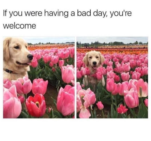 If you were having a bad day, you're welcome
