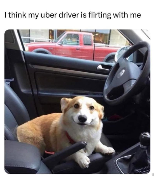 I think my uber driver is flirting with me
