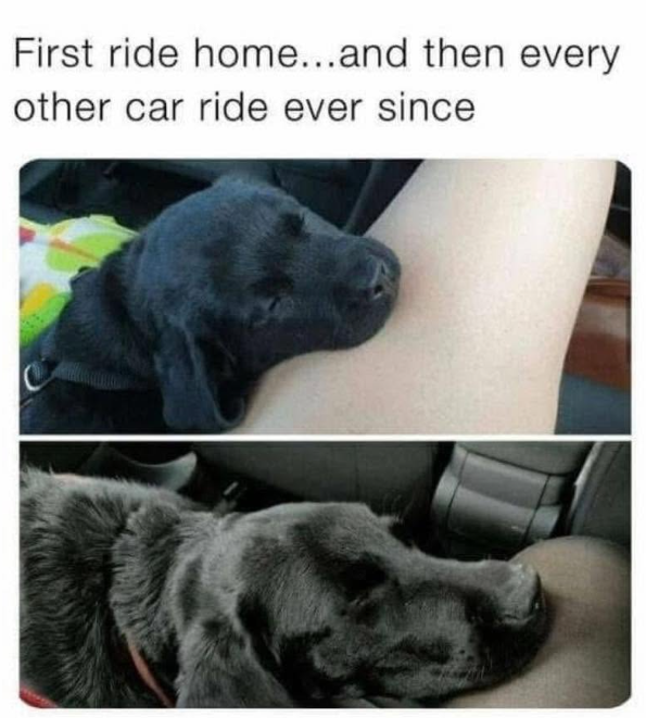 First ride home...and then every other car ride ever since
