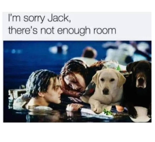 I'm sorry Jack, there's not enough room