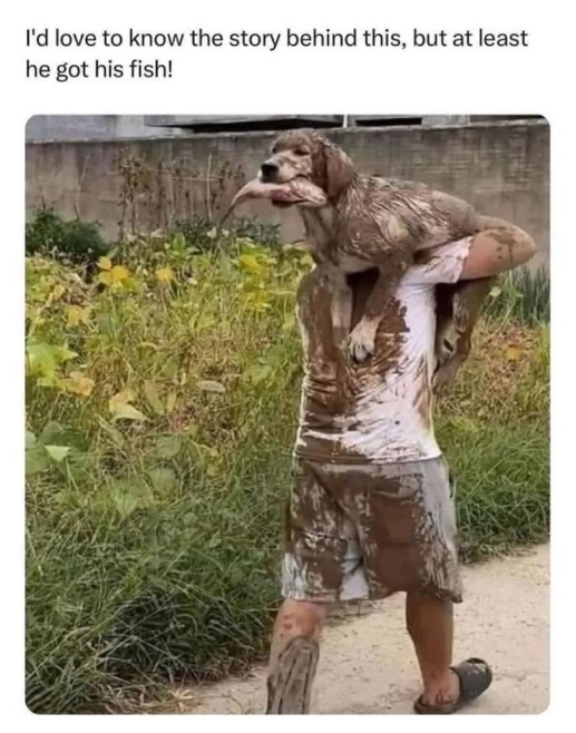 I'd love to know the story behind this, but at least he got his fish!
