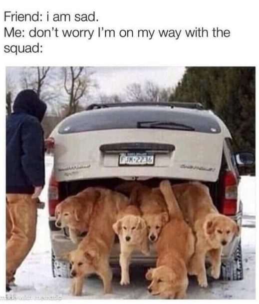 Friend: i am sad. Me: don't worry I'm on my way with the squad: made with mematic JK-2236