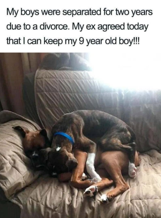 My boys were separated for two years due to a divorce. My ex agreed today that I can keep my 9 year old boy!!!