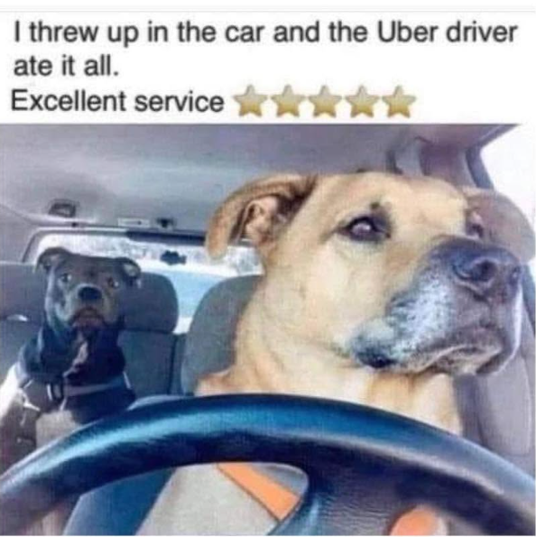 I threw up in the car and the Uber driver ate it all. Excellent service