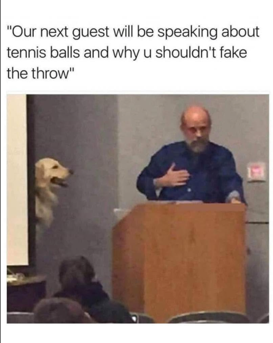 "Our next guest will be speaking about tennis balls and why u shouldn't fake the throw"