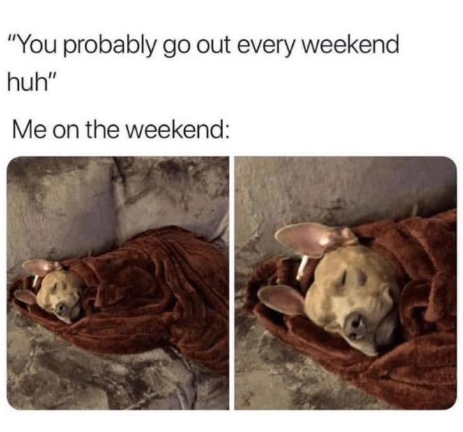 "You probably go out every weekend huh" Me on the weekend: