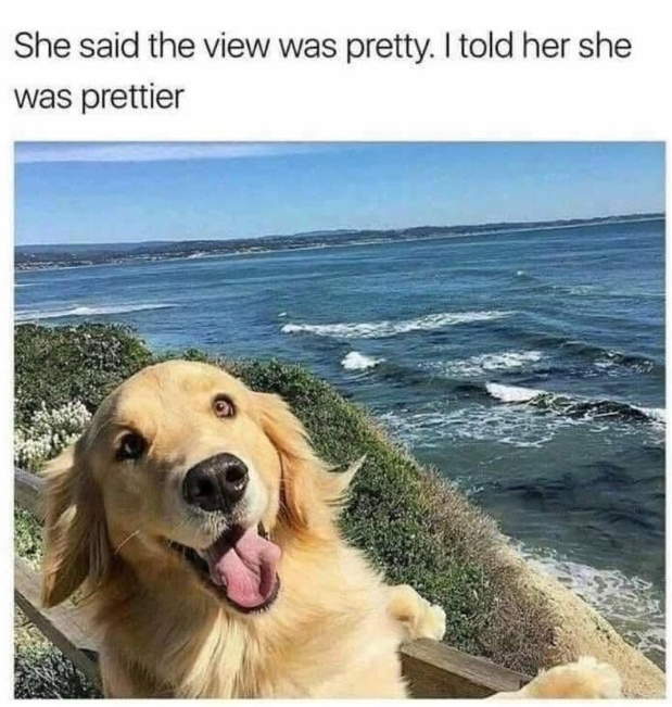 She said the view was pretty. I told her she was prettier