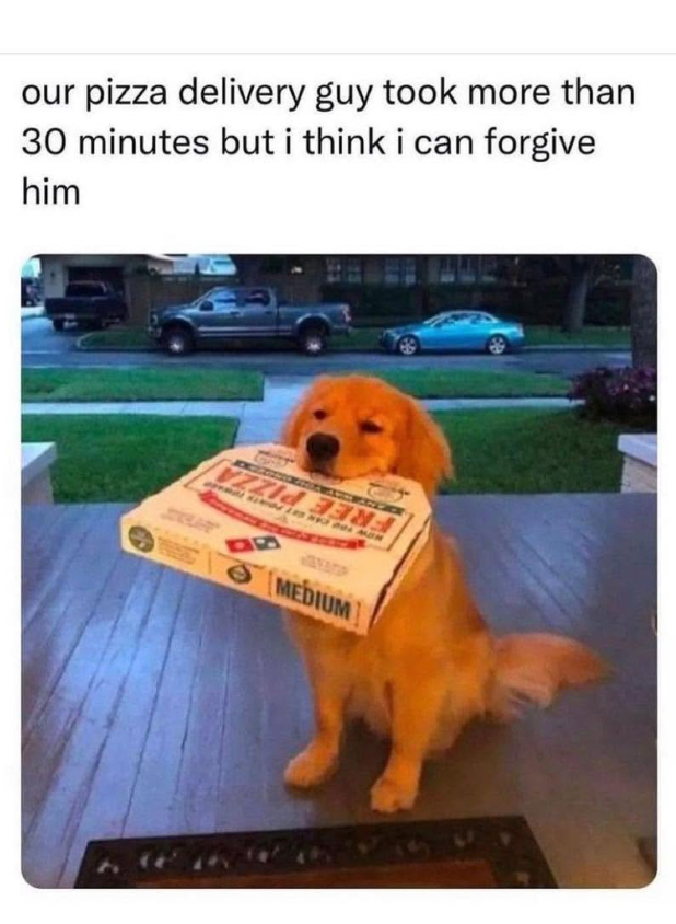 our pizza delivery guy took more than 30 minutes but i think i can forgive him MEDIUM