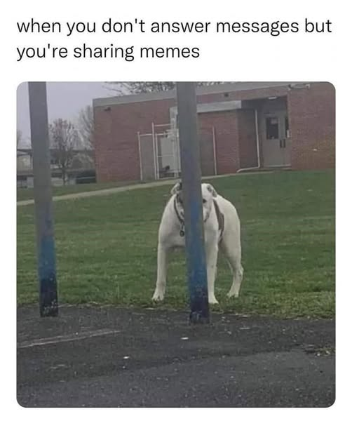 when you don't answer messages but you're sharing memes