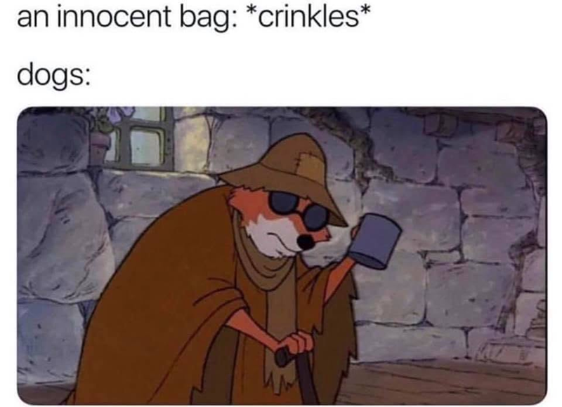 an innocent bag: *crinkles* dogs: