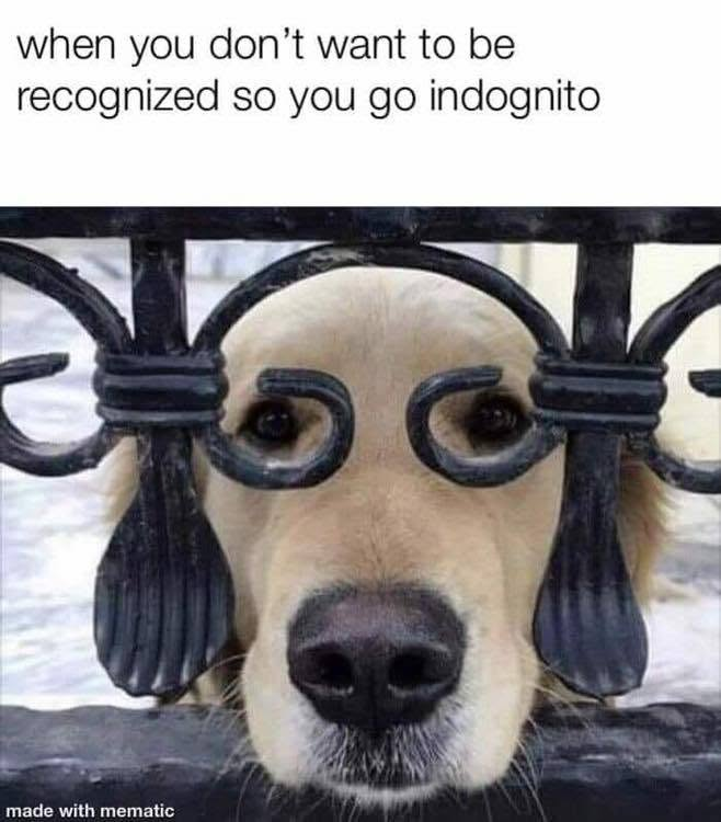 when you don't want to be recognized so you go indognito made with mematic