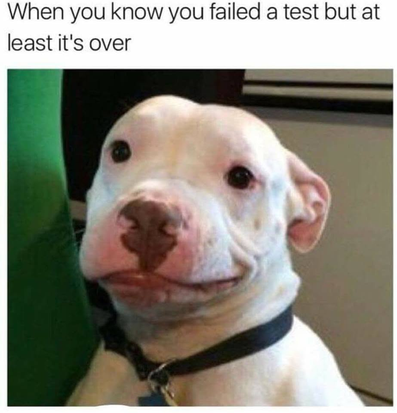 When you know you failed a test but at least it's over