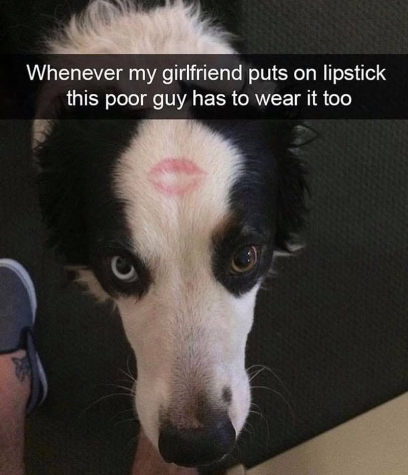 Whenever my girlfriend puts on lipstick this poor guy has to wear it too