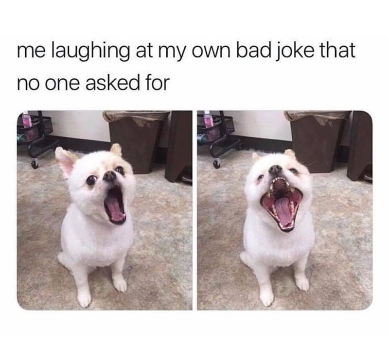 me laughing at my own bad joke that no one asked for