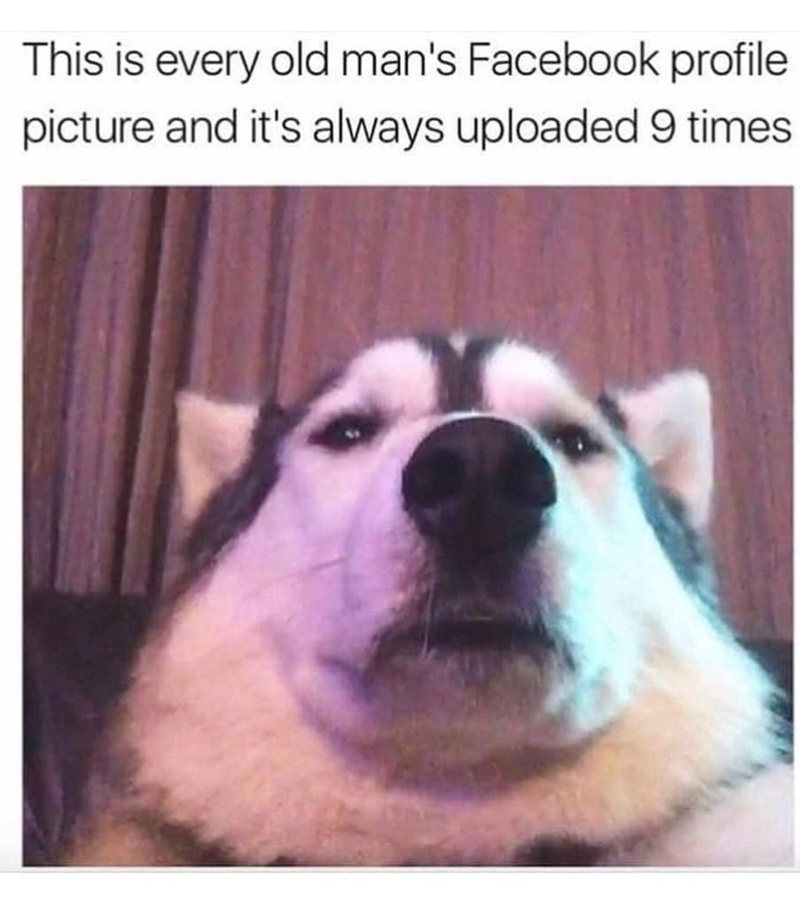 This is every old man's Facebook profile picture and it's always uploaded 9 times
