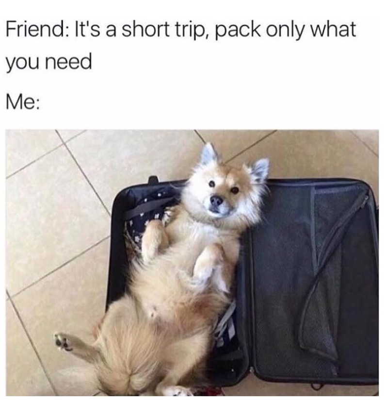 Friend: It's a short trip, pack only what you need Me: