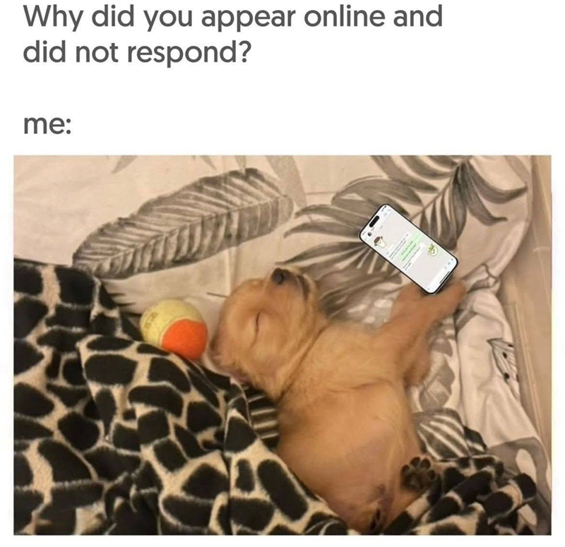 Why did you appear online and did not respond? me: