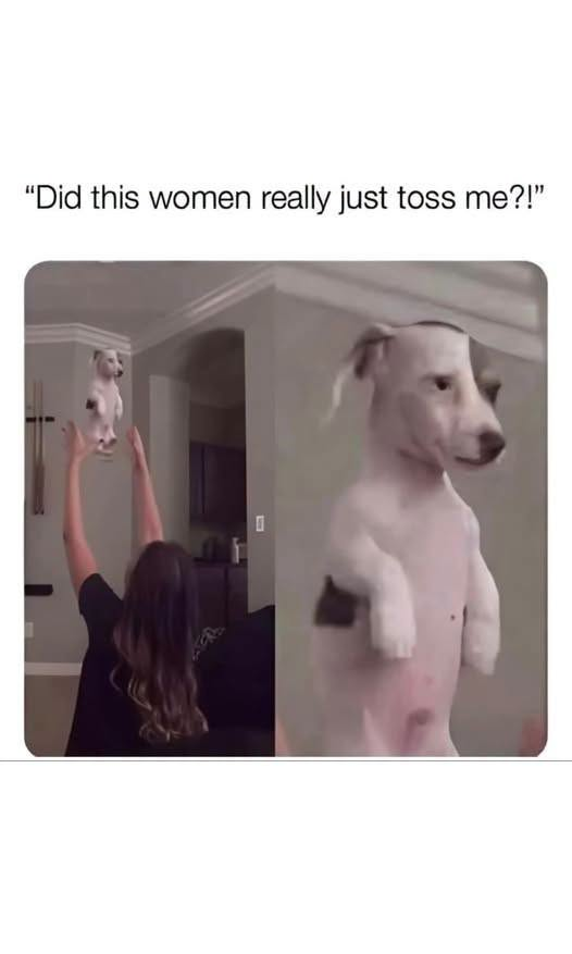 "Did this women really just toss me?!"