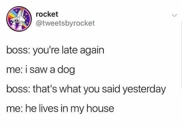 rocket @tweetsbyrocket boss: you're late again me: i saw a dog boss: that's what you said yesterday me: he lives in my house