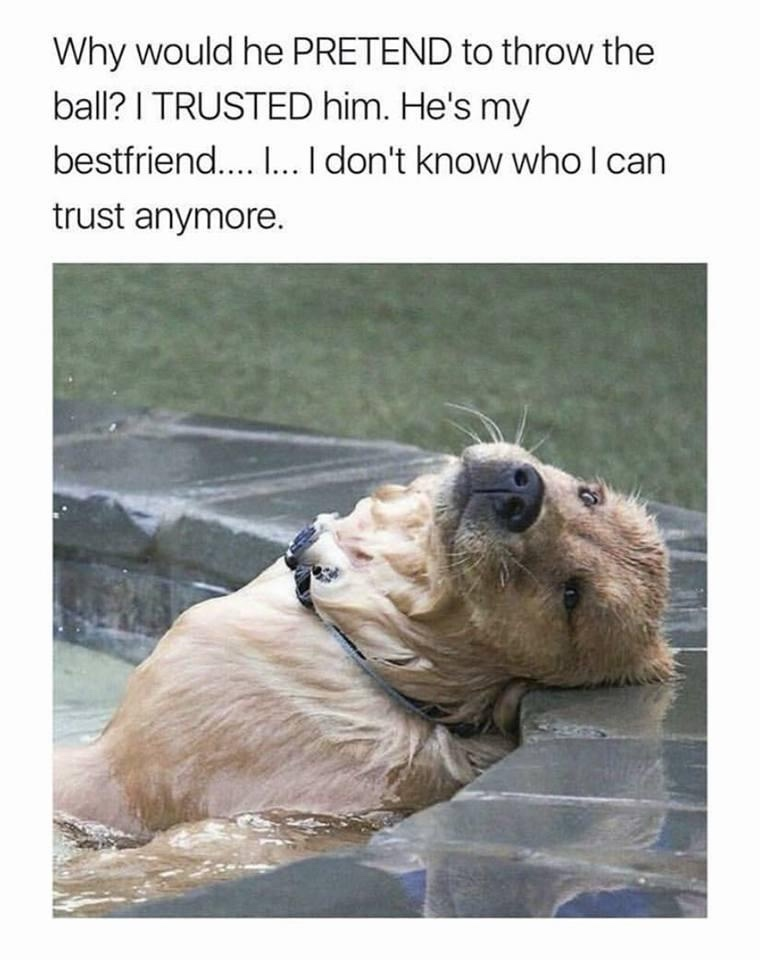 Why would he PRETEND to throw the ball? I TRUSTED him. He's my bestfriend.... ... I don't know who I can trust anymore.